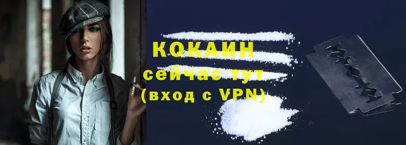 COCAIN Боливия Волхов